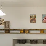 The Spot